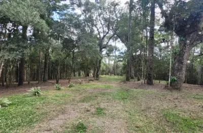Terreno à venda na Rua Coronel Monteiro, Barragem, Campina Grande do Sul