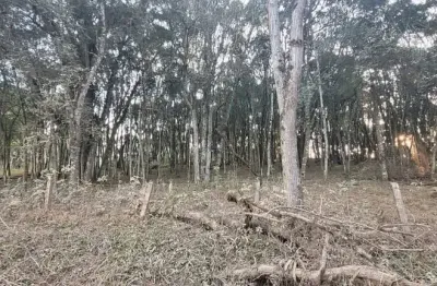 Terreno à venda na Zona Rural, Campina Grande do Sul 