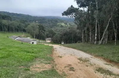 Chácara / sítio com 2 quartos à venda na Rua Carlos Alberto Ribeiro, Zona Rural, Bocaiúva do Sul