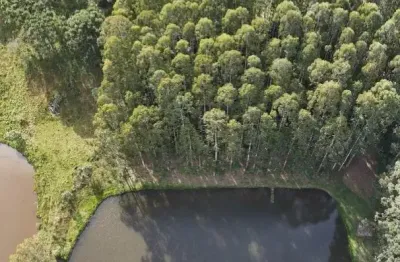Terreno comercial à venda na Rua Osmário de Oliveira Bastos, 5, Vila Fuck, Piraquara