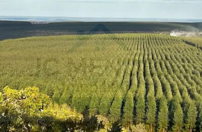 Área à venda no bairro Área Rural de Uberlândia - Uberlândia/MG