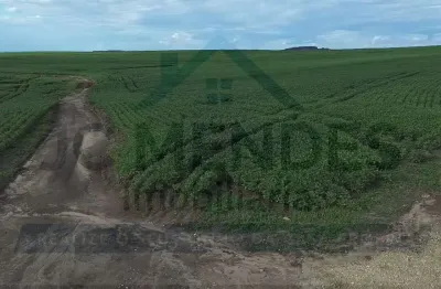 Fazenda à venda no Centro, Ipiranga 