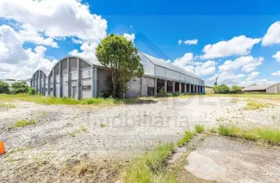 Pavilhão/Galpão para alugar no bairro Cidade Industrial de Curitiba - Curitiba/PR