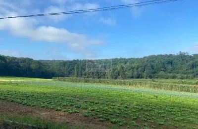 Terreno à venda na Estrada dos Fernandes, --, Parque Santa Rosa, Suzano