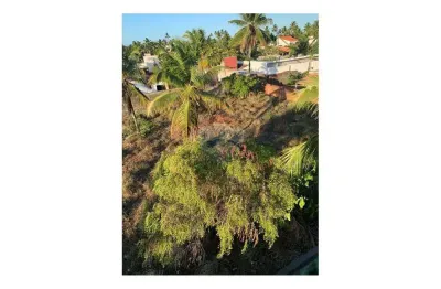 Terreno em porto de galinhas no condomínio porto coqueiral