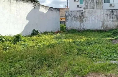 Terreno à venda no Centro, Tamandaré 