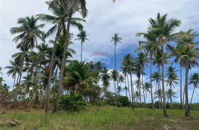 Terreno comercial à venda na Ilha Do João Ferreira, S/N, Centro, Tamandaré
