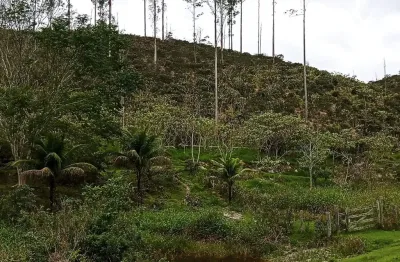 Fazenda à venda na Rua Barão de Madalena, Zona Rural, Santa Maria Madalena