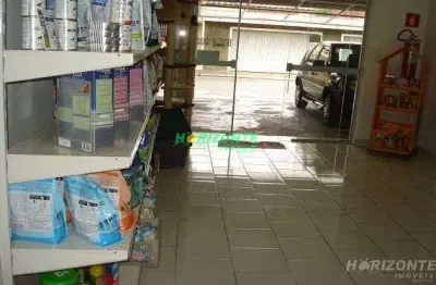 Sobrado à venda, 500 m² por r$ 2.850.000,00 - vila betânia - são josé dos campos/sp