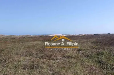 Terreno à venda, 16928 m² por r$ 1.500.000 - salinas- balneário arroio do silva/sc