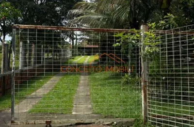 Chácara / sítio com 4 quartos à venda na rua um, 1, buru, elias fausto por r$ 700.000