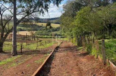 Chácara / sítio com 1 quarto à venda na Rodovia Mabio Gonçalves Palhano, 500, Património Regina, Londrina