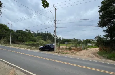 Área plana de 4912m2 à venda no bairro pinheiro, com 50m de testada e excelente topografia.