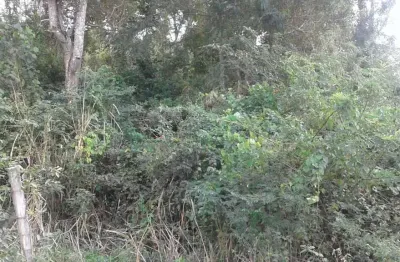 Terreno à venda no Bonsucesso (Bacaxá), Saquarema 
