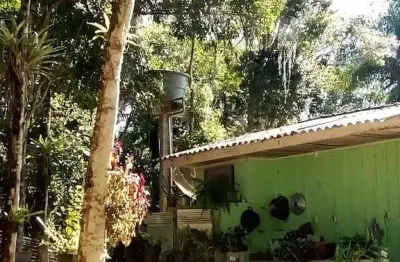 Chácara / sítio com 2 quartos à venda na Zona Rural, Morretes 