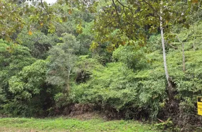 Terreno residencial à venda em balneário camboriú - barra | 5.017 m² com sol da manhã e vista para montanha