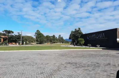 Terreno em condomínio fechado à venda na Rua Ivo José Rebello, Santa Regina, Camboriú