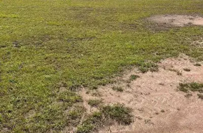 Terreno 458,25 m² no caledônia private village – exclusividade e conforto