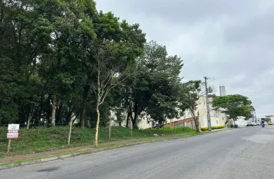 Terreno à venda na Rua Francisco Alves Mendes Filho, Bom Jesus, Campo Largo