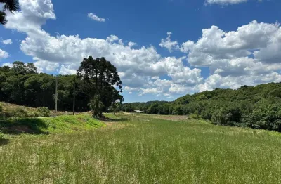 Chácara / sítio à venda na Rua Romão  Fierzt, Zona Rural, Araucária