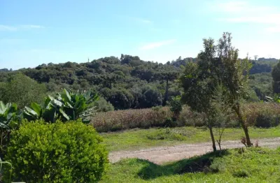Chácara / sítio à venda na Estrada Particular, São Caetano, Campo Largo