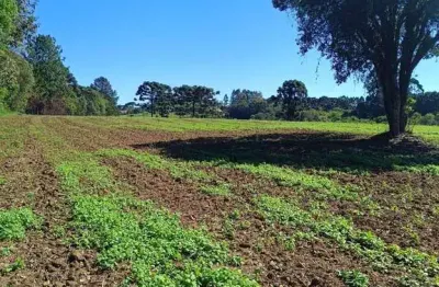 Terreno à venda na Estrada para Balsa Nova, Jardim Itaqui, Campo Largo