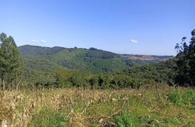 Linda área para formar chácara, com área de 52.500,00m² - jardim boa vista - campo largo/pr