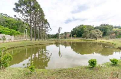 Chácara / sítio à venda na Rua Romão Fierzt, Roça velha, Araucária