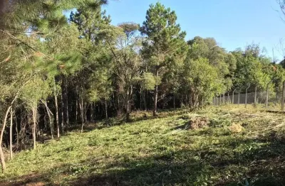 Chácara / sítio à venda na Estrada Sereia, Rondinha, Campo Largo