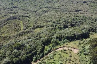 Chácara à venda com área de  23.373,00m²  - rodeio santo antonio - balsa nova-pr