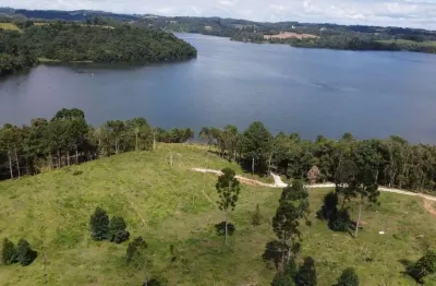 Chácara / sítio à venda na Rua Ângela Boaron Krupa, Sitio Santa Ana, Campo Largo