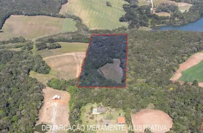 Chácara / sítio à venda na Estrada Japson, 1031, Botiatuva, Campo Largo