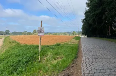 Terreno à venda na Rua Vereador José Chiquito, Rodeiozinho, Balsa Nova