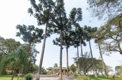 Chácara / sítio com 4 quartos à venda na Rua Caetano Munhoz da Rocha, Ouro Verde, Campo Largo
