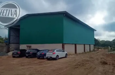 Terreno com galpão à venda - tomaz coelho - araucária