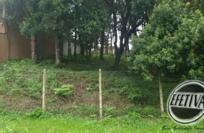 Terreno à venda na Rua Cidadania da Santa Felicidade, Santa Felicidade, Curitiba