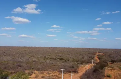 Propriedade com 412 hectares localizada na br 316, a 20 km de petrolândia