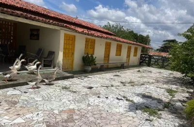 Fazenda à venda na Avenida Silva Jardim, 5, Zona Rural, Feira Nova
