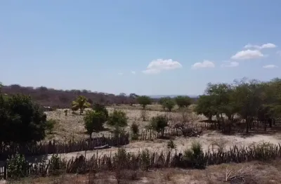 Chácara / sítio à venda na Rua Regente Feijó, sitio, Zona Rural, Petrolândia