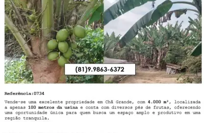 Chácara / sítio à venda na Vila Santa Luzia, Zona Rural, Chã Grande