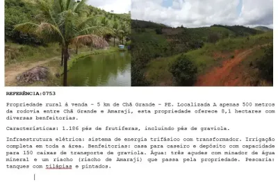 Chácara / sítio à venda na Vila Santa Luzia, Zona Rural, Chã Grande