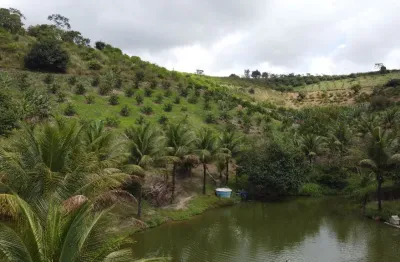 Chácara / sítio à venda na Vila Santa Luzia, Zona Rural, Chã Grande