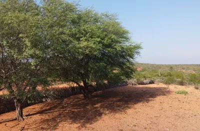 Vende-se excelente propriedade de 1.500 hectares em Petrolândia-PE