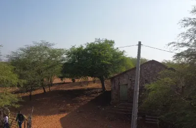 Vende-se excelente propriedade de 1.500 hectares em petrolândia-pe