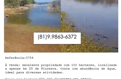 À venda: excelente propriedade com 100 hectares, localizada a apenas km 25 de floresta.