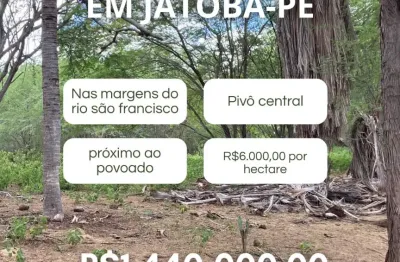 Fazenda à venda na Avenida Eletrobras, Zona Rural, Jatobá