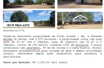 Vende-se excelente propriedade em pilão arcado – ba