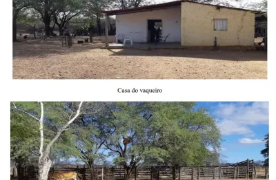 Fazenda à venda na Praça Coronel Franklin Lins, 16, Zona Rural, Pilão Arcado
