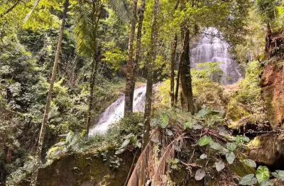 Chácara / sítio com 4 quartos à venda na Zona Rural, Andradas 