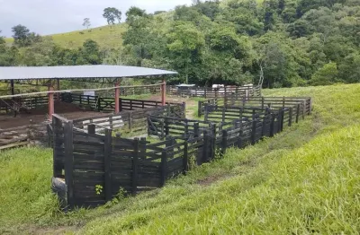 Fazenda à venda no Rio Pardo, Caldas 